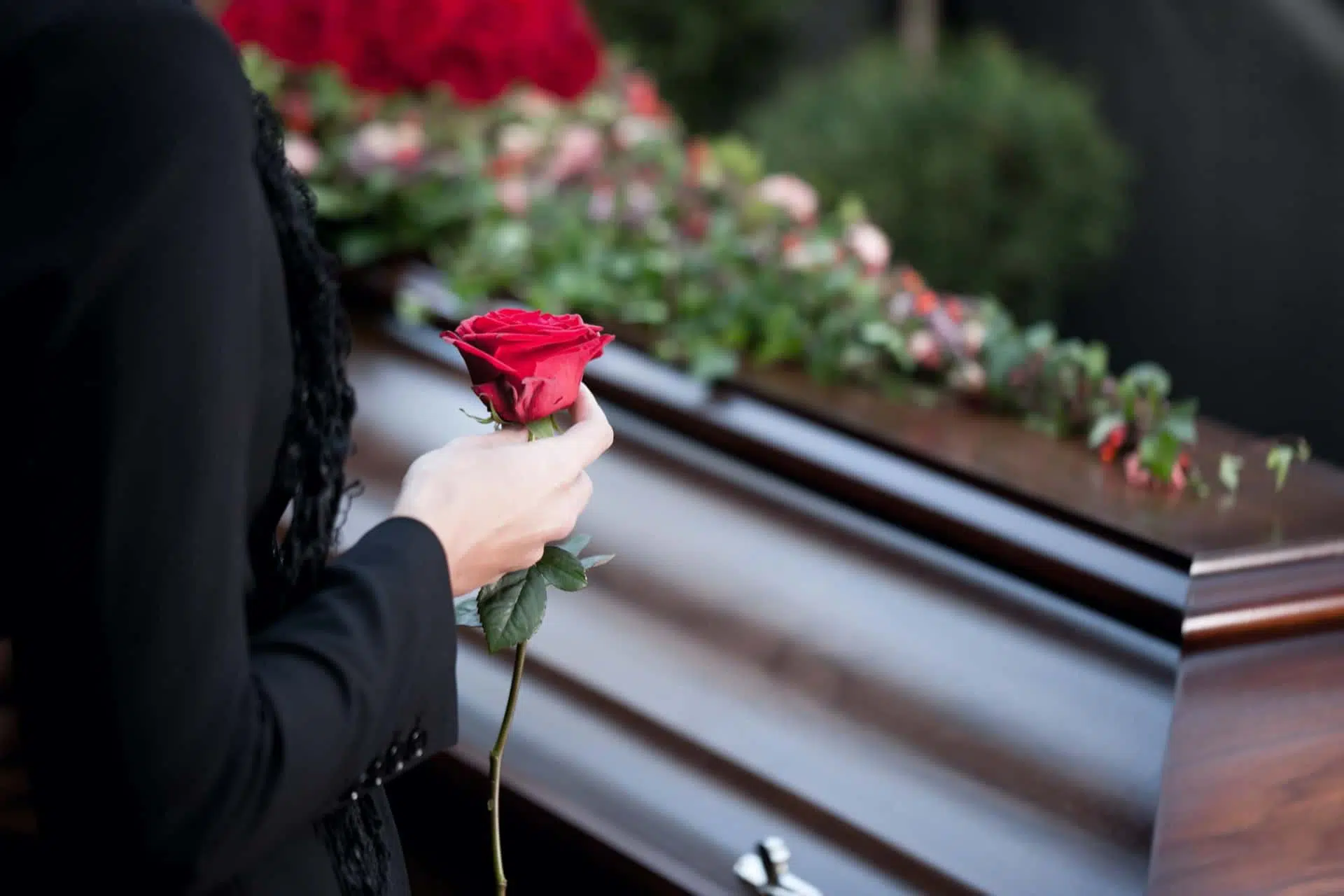 Image of a red rose on a coffin